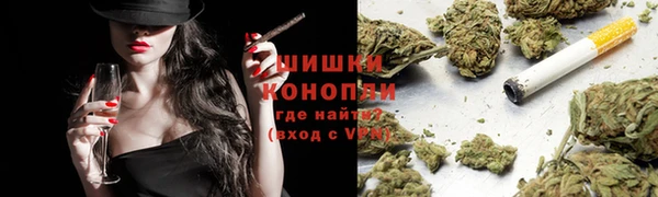 ПСИЛОЦИБИНОВЫЕ ГРИБЫ Алексеевка