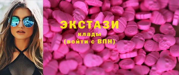 СК Алексин