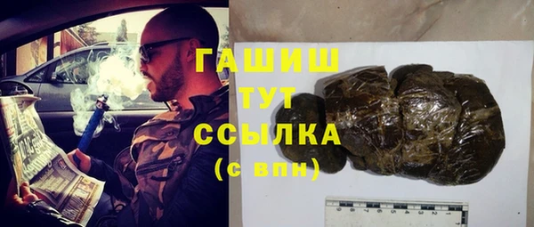 СК Алексин